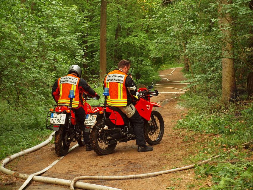 Waldbrand Bergisch Gladbach Bensberg P153.JPG